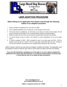 lbdr-adoption-application