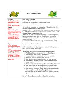 Turtle Pond Exploration Materials Reading Connection: Jo