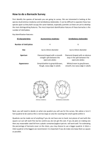 the Barnacle Survey information sheet