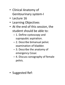 Clinical Anatomy of Genitourinary system