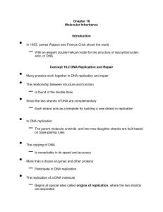 Chapter 16 - HCC Learning Web