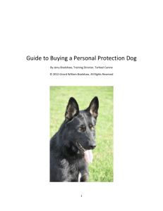 Buying a Personal Protection Dog