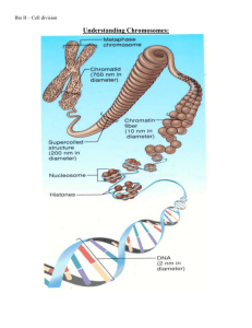 Understanding Chromosomes: