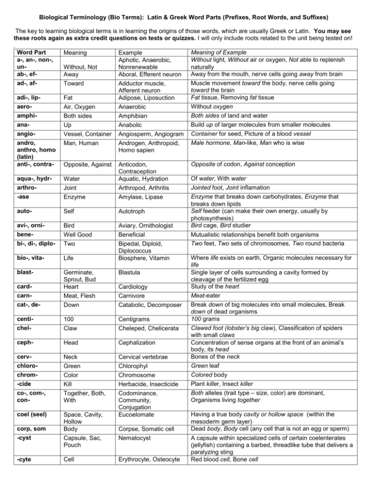 Greek And Latin Roots For Struct