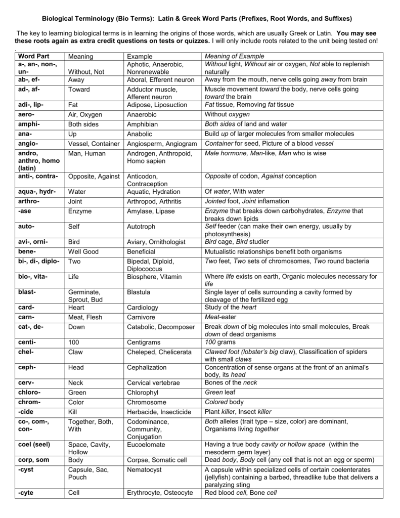 The Greeks Non Greeks And Expressions Of