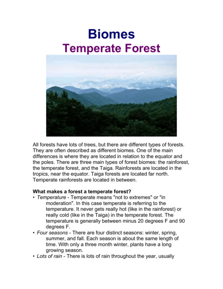 about temperate zone essay