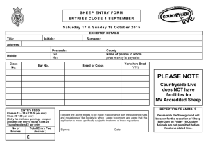 BEEF CATTLE ENTRY FORM