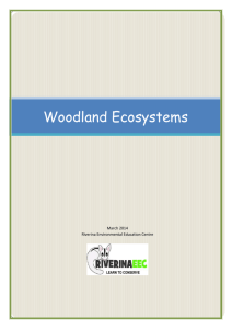 Woodland Ecosystems - Riverina Environmental Education Centre