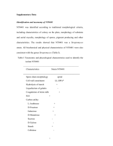 Supplementary Data Identification and taxonomy of NT0401 NT0401