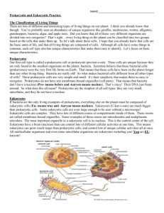 Prokaryote and Eukaryote Practice