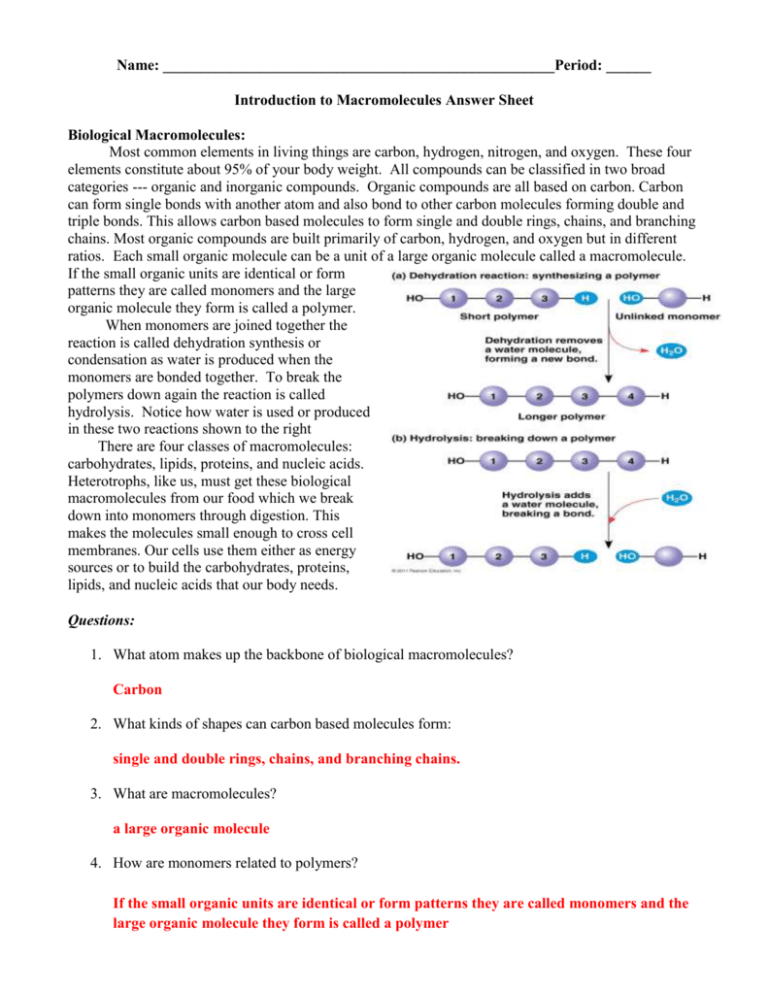 Macromolecule Worksheet Answer Key doc