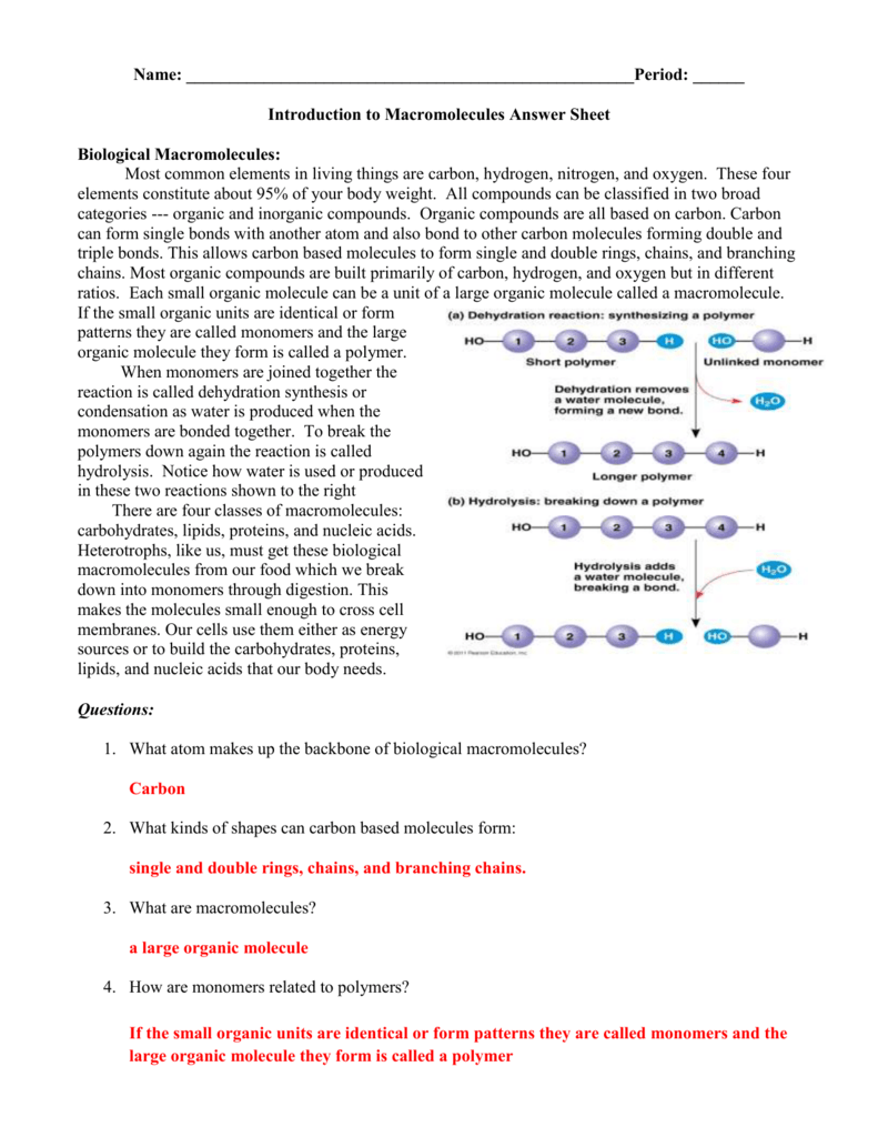 Macromolecule worksheet answer Key.doc Intended For Macromolecules Worksheet 2 Answers