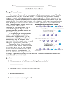 Bio-Macromolecules Worksheet.doc