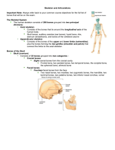 Skeleton and Articulations Important Note: Always refer back to your