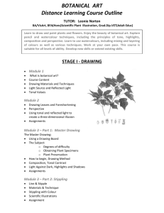 Botanical Art Distance Learning Course Outline
