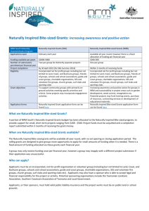 NIBS guidelines