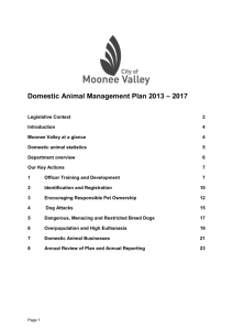 Domestic Animal Management Plan 2013 – 2017