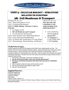Unit 3: Cellular Biology: Structure Leads to Function