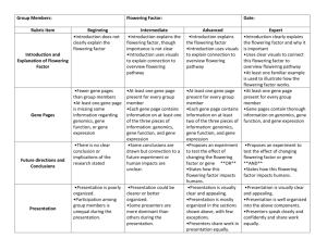 Assessment rubric for presentations.