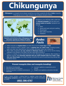 Chikungunya Dengue patient handout English (Word)