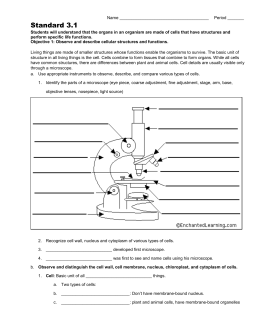 Year 8 Cells - Revision Questions