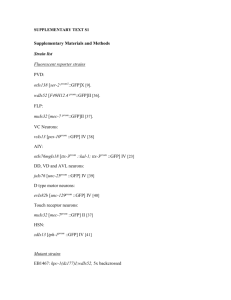 SUPPLEMENTARY TEXT S1 Supplementary Materials and Methods