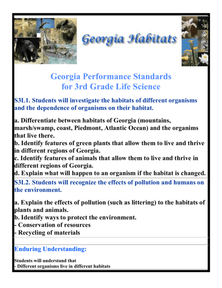 Georgia Standards For 3rd Grade Math