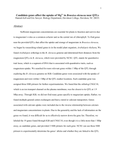 Magnesium_final - Genomics and Bioinformatics @ Davidson