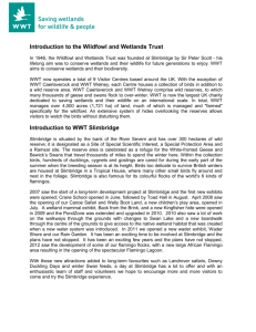 Volunteer Opportunities at The Wildfowl and Wetlands Trust