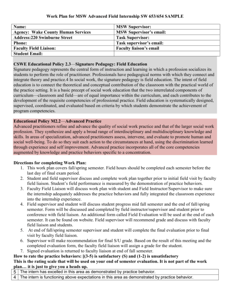 Work Plan For MSW Advanced Field Internship SW 653 654