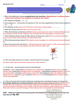 Science 10 Microscope Worksheet: