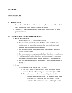 ch21 outline
