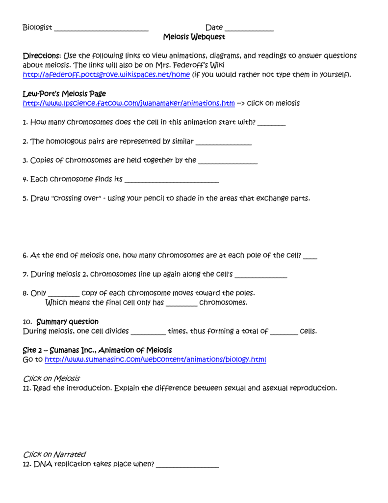 Meiosis Webquest