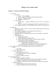 Biology 6 Test 2 Study Guide