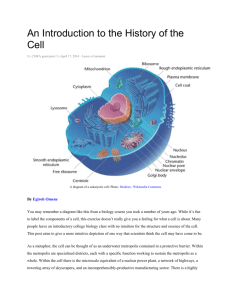 History of the Cell