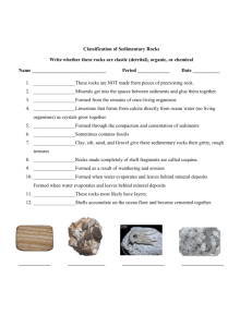 Sedimentary Rocks Classification Review