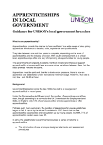 Apprenticeships in local government guidance