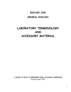 Lab Terminology and Accessory Material