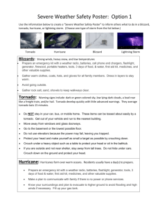 Severe Weather Poster Assignment: Option 1