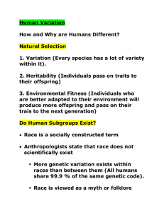 Human Variation (from ppt lecture)