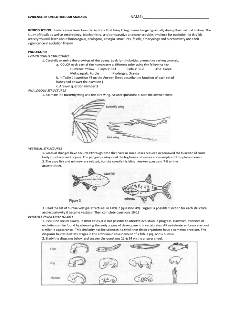 EVIDENCE OF EVOLUTION LAB ANALYSIS NAME