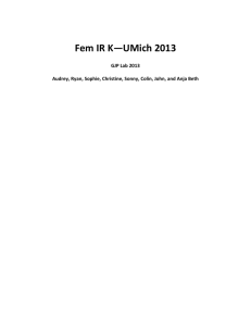 Fem IR K—UMich 2013 - Open Evidence Project