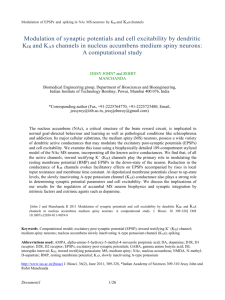 3.6 Effects of modulation of K IR conductance on cell excitability