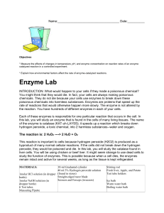 Enzyme Lab