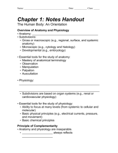 Chapter 1: Notes Handout