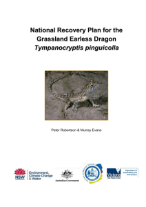 National Recovery Plan for the Grassland Earless Dragon
