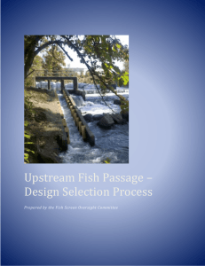 Upstream Fish Passage * Design Selection Process