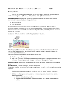 Ch3-4 Cell membrane