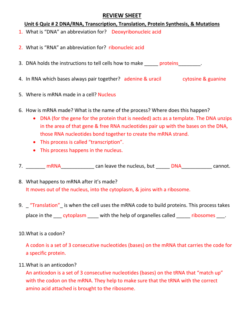REVIEW SHEET Unit 2222 Quiz # 22 DNA/RNA, Transcription Intended For Dna And Rna Worksheet Answers