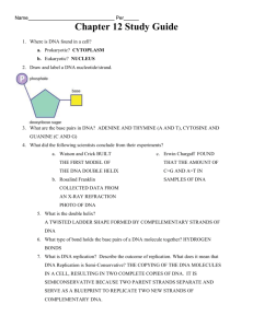 DNA Section 1 & 2 Study Guide